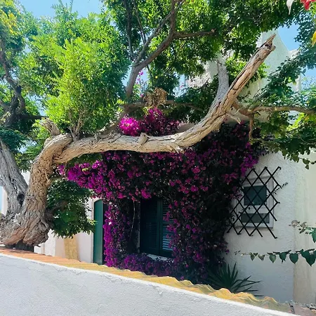 Semesterbostad Palma