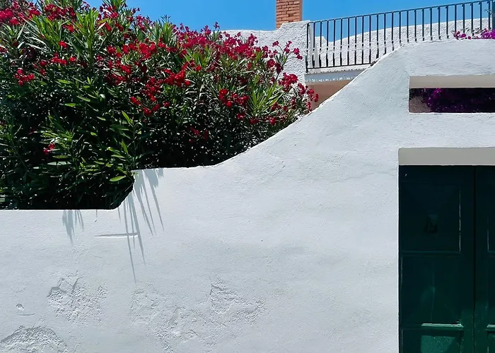 Palma 펜션 *