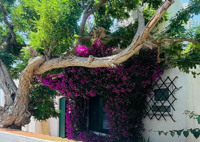 펜션 Palma